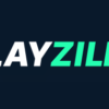 PlayZilla Erfahrungen & Test