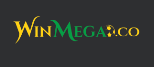 Winmega Erfahrungen & Test 2025