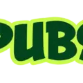 PUBS Erfahrungen & Test 2026